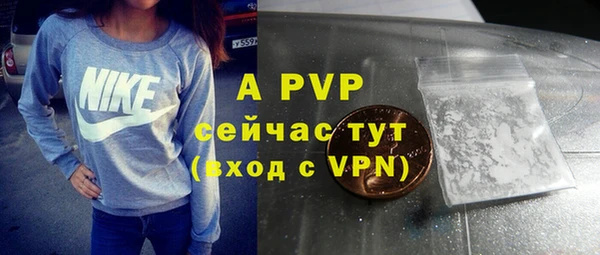 гидра Алексин