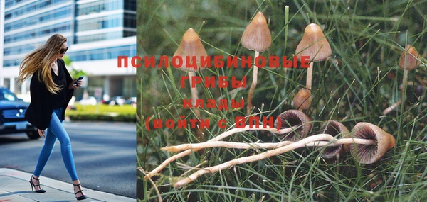 гидра Алексин