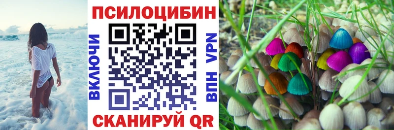 Псилоцибиновые грибы MAGIC MUSHROOMS  купить закладку  Талица 